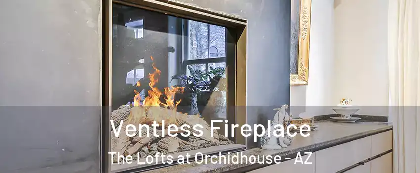 Ventless Fireplace The Lofts at Orchidhouse - AZ