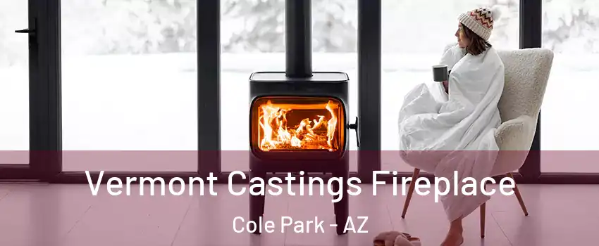 Vermont Castings Fireplace Cole Park - AZ