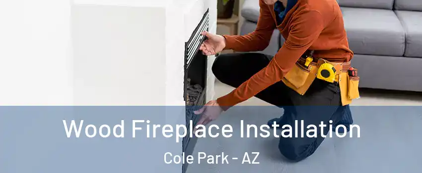 Wood Fireplace Installation Cole Park - AZ