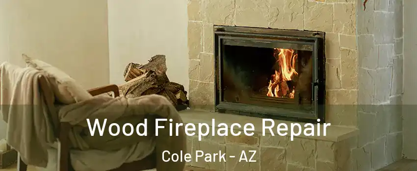 Wood Fireplace Repair Cole Park - AZ