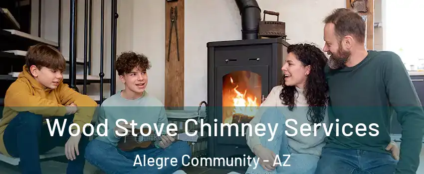 Wood Stove Chimney Services Alegre Community - AZ