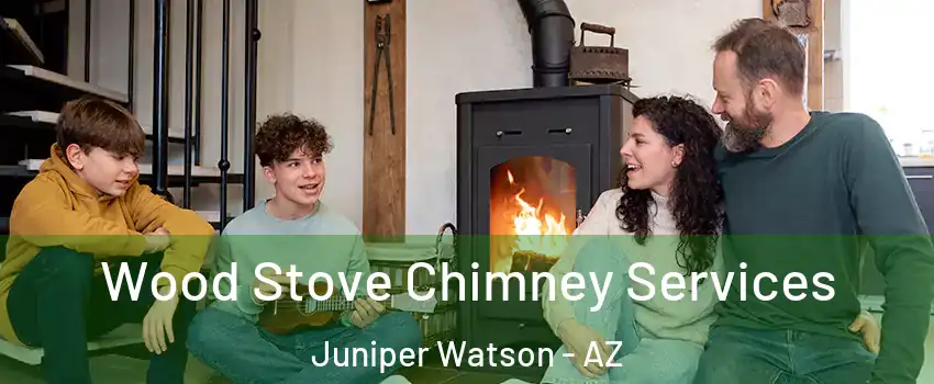 Wood Stove Chimney Services Juniper Watson - AZ