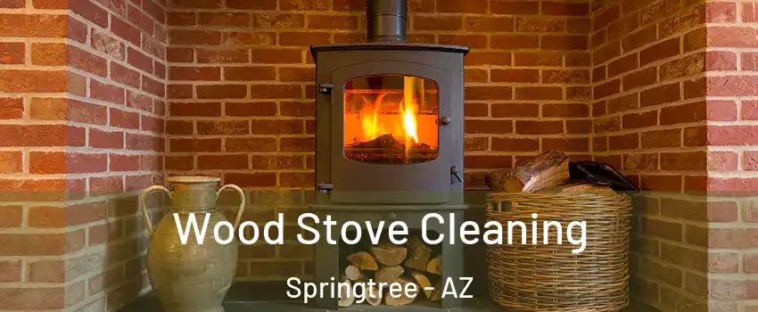 Wood Stove Cleaning Springtree - AZ