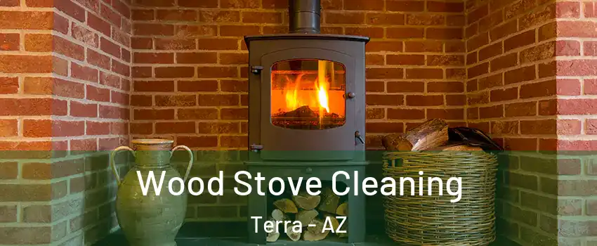 Wood Stove Cleaning Terra - AZ