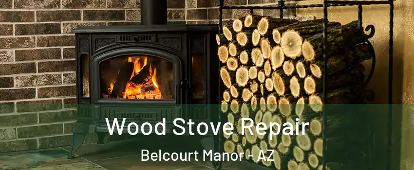 Wood Stove Repair Belcourt Manor - AZ