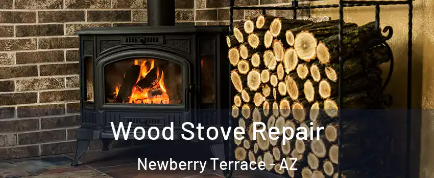 Wood Stove Repair Newberry Terrace - AZ